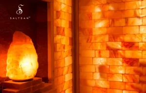 himalayan rock salt tiles