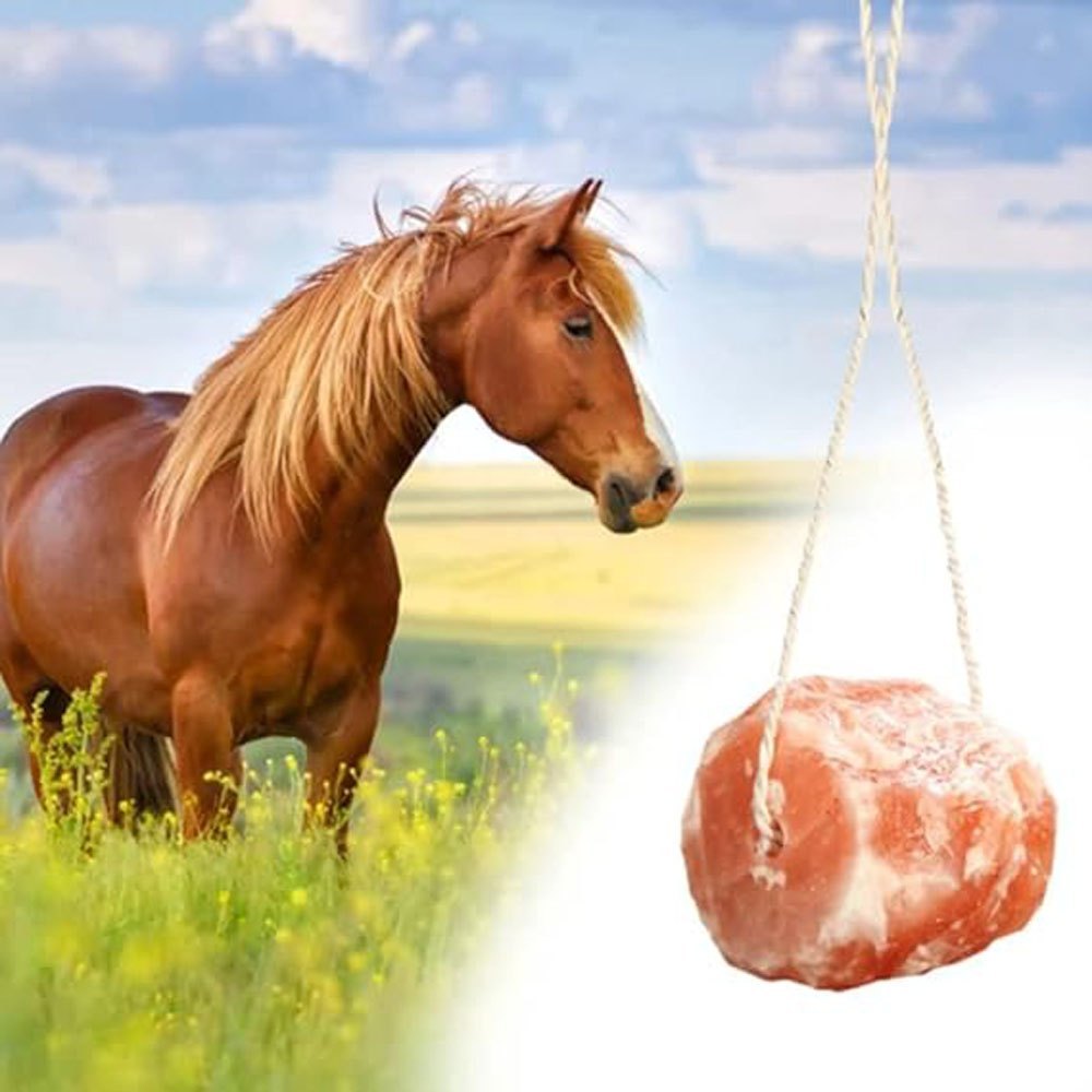 himalayan animal salt lick block rock salt food animal wellness animal mineral salt licks