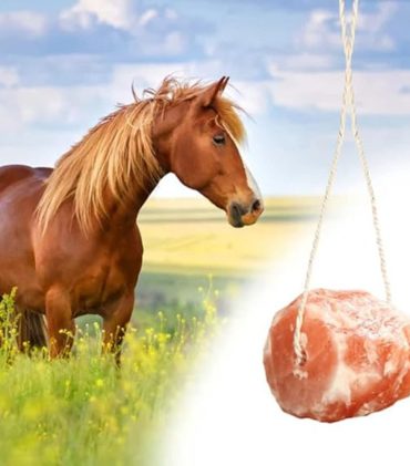 himalayan animal salt lick block rock salt food animal wellness animal mineral salt licks