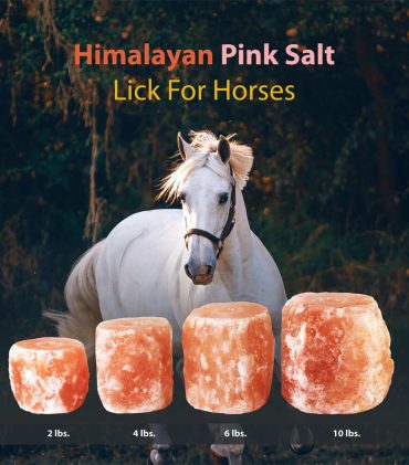 horse lick himalayan salt4